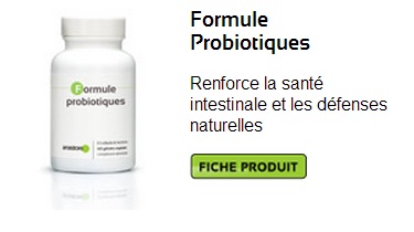 Probiotiques Naturels : Optez pour les Bactéries Lactiques Probiotiques Naturels : Optez pour les Bactéries Lactiques