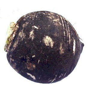 aliment brule graisse pour mincir