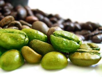 café vert pour maigrir