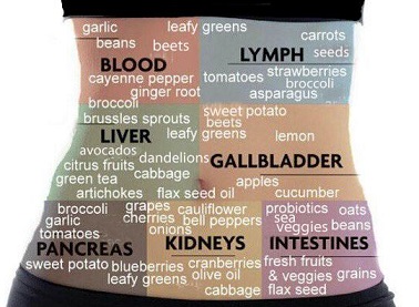 Que faire ? Quel aliments consommer pour vos recettes jus detox ? Pour le sang, pancréas... etc...