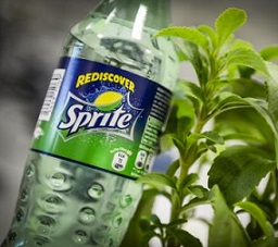 feuille de Stevia