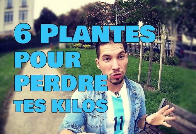 plantes qui font mincir