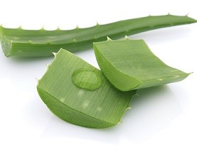 produit colophytol