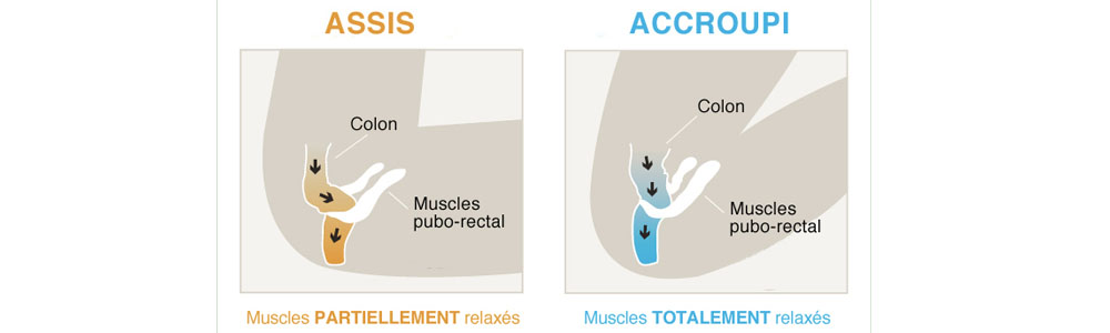 Soulager le muscle périnée grâce au tabouret physiologique de toiletets