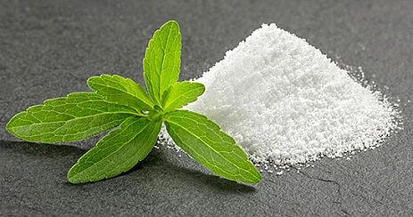 Stevia avis