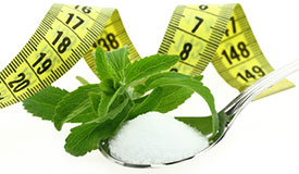 Stevia pour perdre du poids