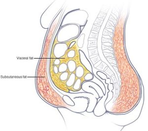 bruleur de graisse ventre plat femme bruleur de graisse ventre plat femme